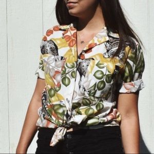 Cute koala and kangaroo button down blouse